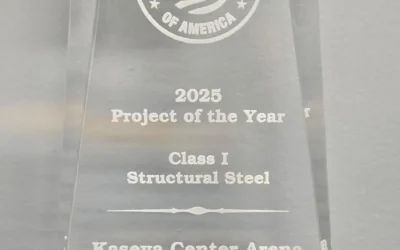 2025 Project of the Year